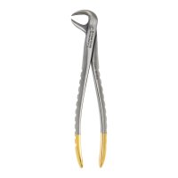 MA Dental Lower Molar Forceps
