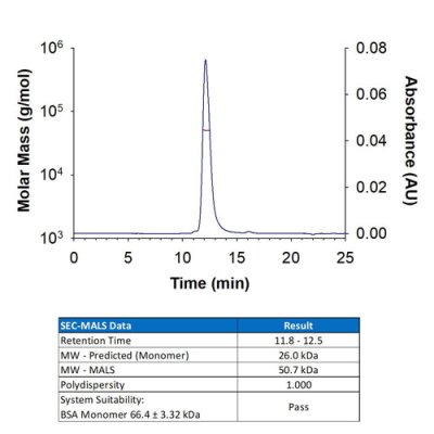 Protein, Recombinant Mouse M-CSF Protein, 50 &micro;g
