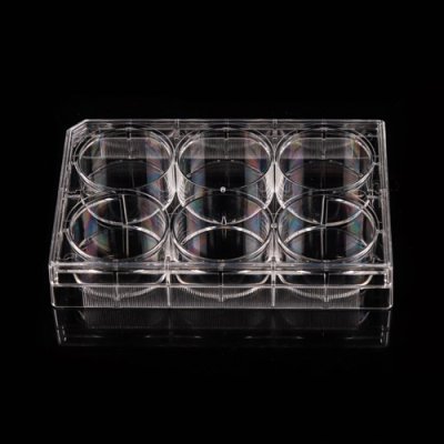Cell Culture Plates