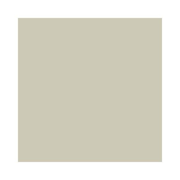 Ronseal Garden Paint White Ash Swatch