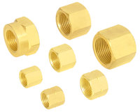 Brass Hose Tailnuts