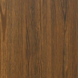 Cream Orangey Birch - CT21