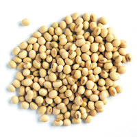 Soya Beans (No Shell) 500gr