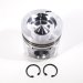 PISTON BODY C/W CLIPS