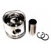 PISTON & PIN