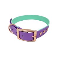 Trinkety Paws City Collection Biothane Dog Collar Seafoam/Amethyst Extra Small 20-30cm 16mm