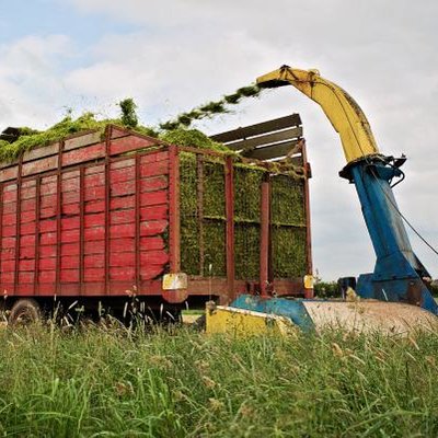 KIDD / New Holland