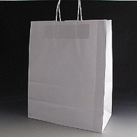 Large white paper bag