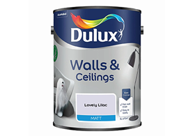 Dulux Matt Paint Tub