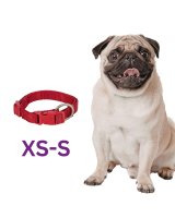 Premium Red Collar XS-S 22-35CMX10MM