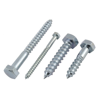 Coach Screws