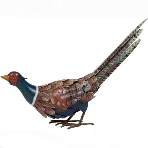 Classic Wildlife Feeding Pheasant