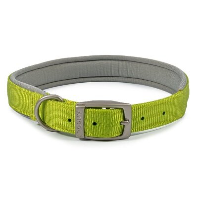 Ancol Viva Padded Buckle Collar Lime 35-43cm