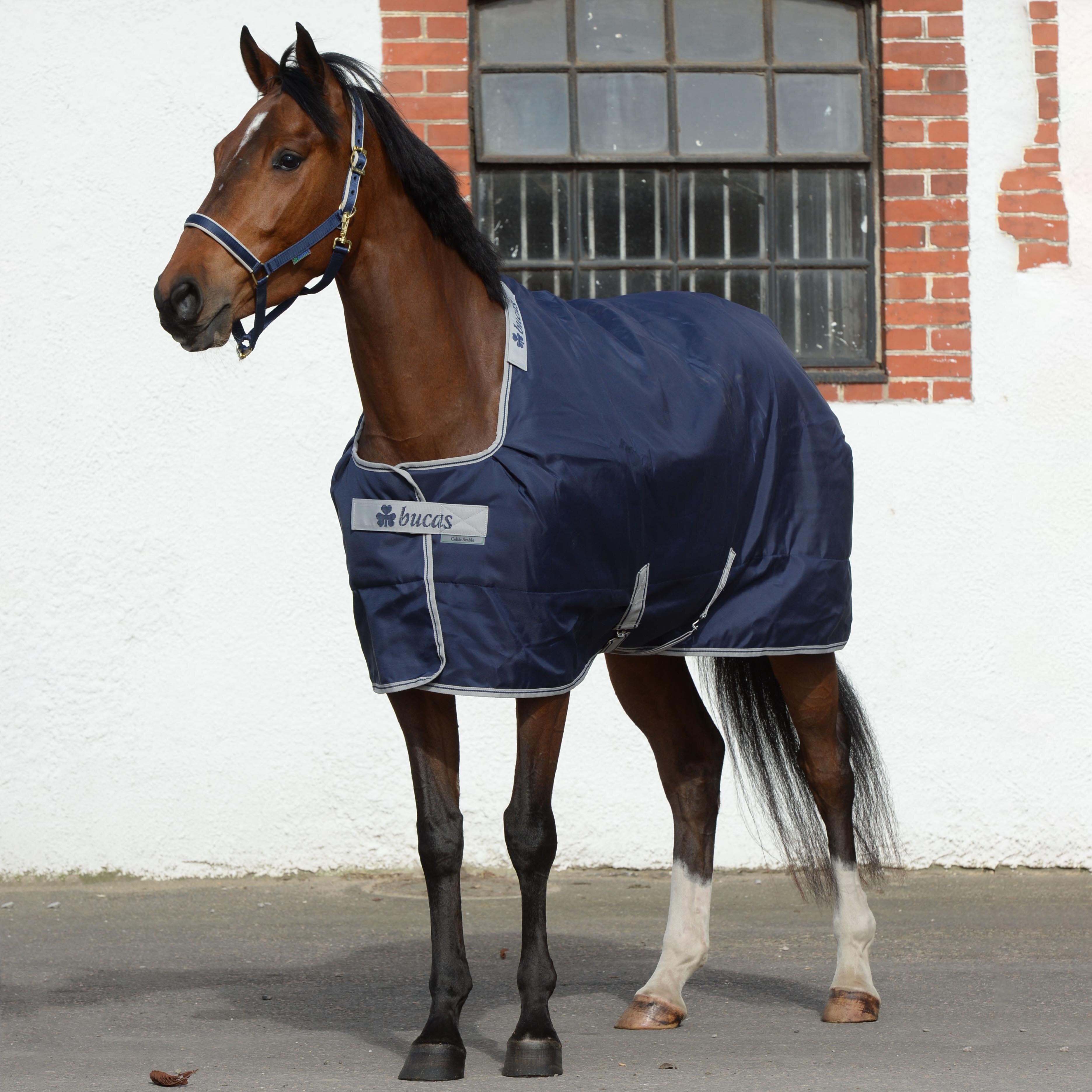 Stable Rugs Celtic Stable Bucas