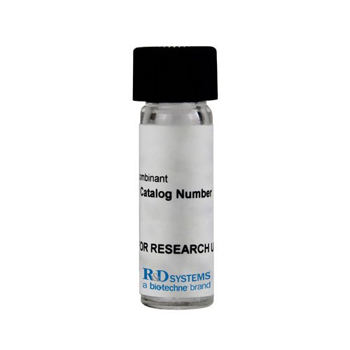 Protein, Recombinant Human/Mouse/Rat Activin A Protein, 1 mg