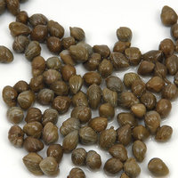 Capers 1.52kg