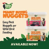 Wild Bird Suet Treats