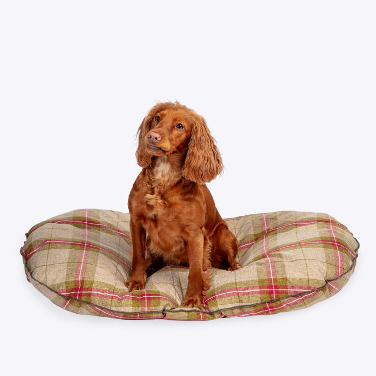 Danish Design Newton Moss Quilted Mattress
