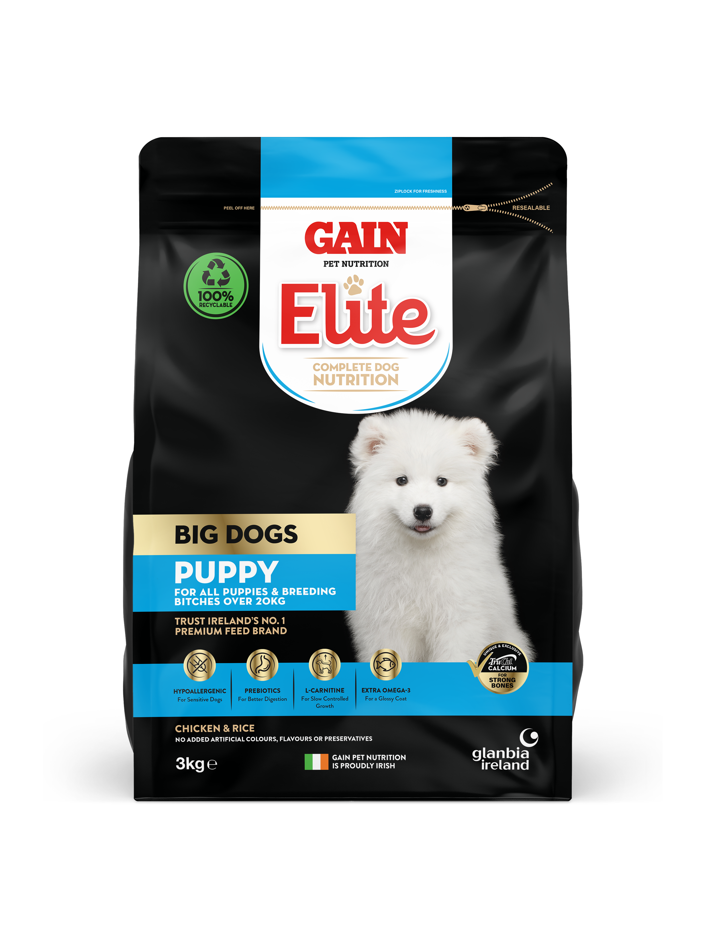 GAIN Big Dog Puppy Dog Food 3kg