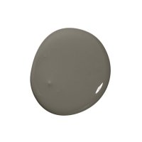 Colourtrend Burrowing Colour Swatch