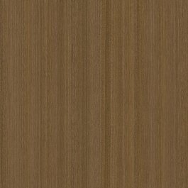 Brown Palm Tree - CT56