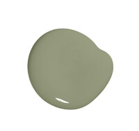 Colourtrend Nettle Soup Soft Sheen Colour Swatch