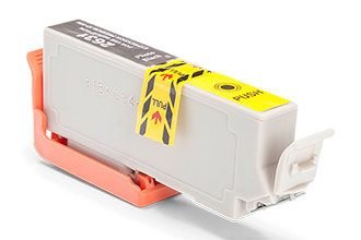 Compatible Epson C13T26314010 26XL 26 Photo  Black 400 Page Yield