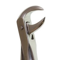 Perfection Plus ECO+ Lower Extraction Forceps No.13 - DMI Ireland's Leading Dental Supplier - Next Day Delivery