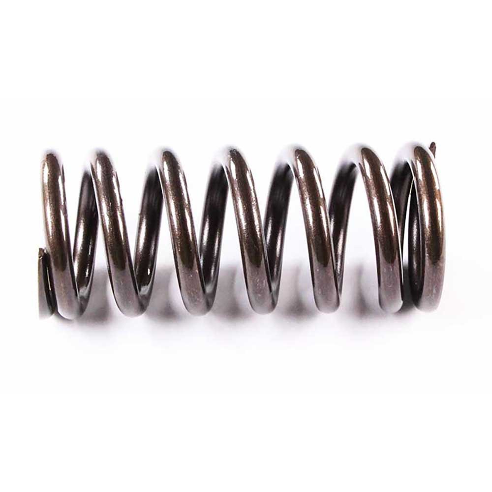 VALVE SPRING