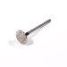 EXHAUST VALVE - 45 DEGREE ANGLE
