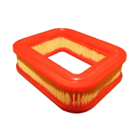GGP RSCT100 - Air Filter