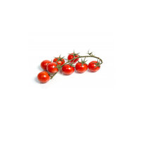 Cherry Vine Tomatoes 250gr