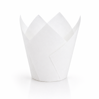 Muffin Wrap White 160x160x50