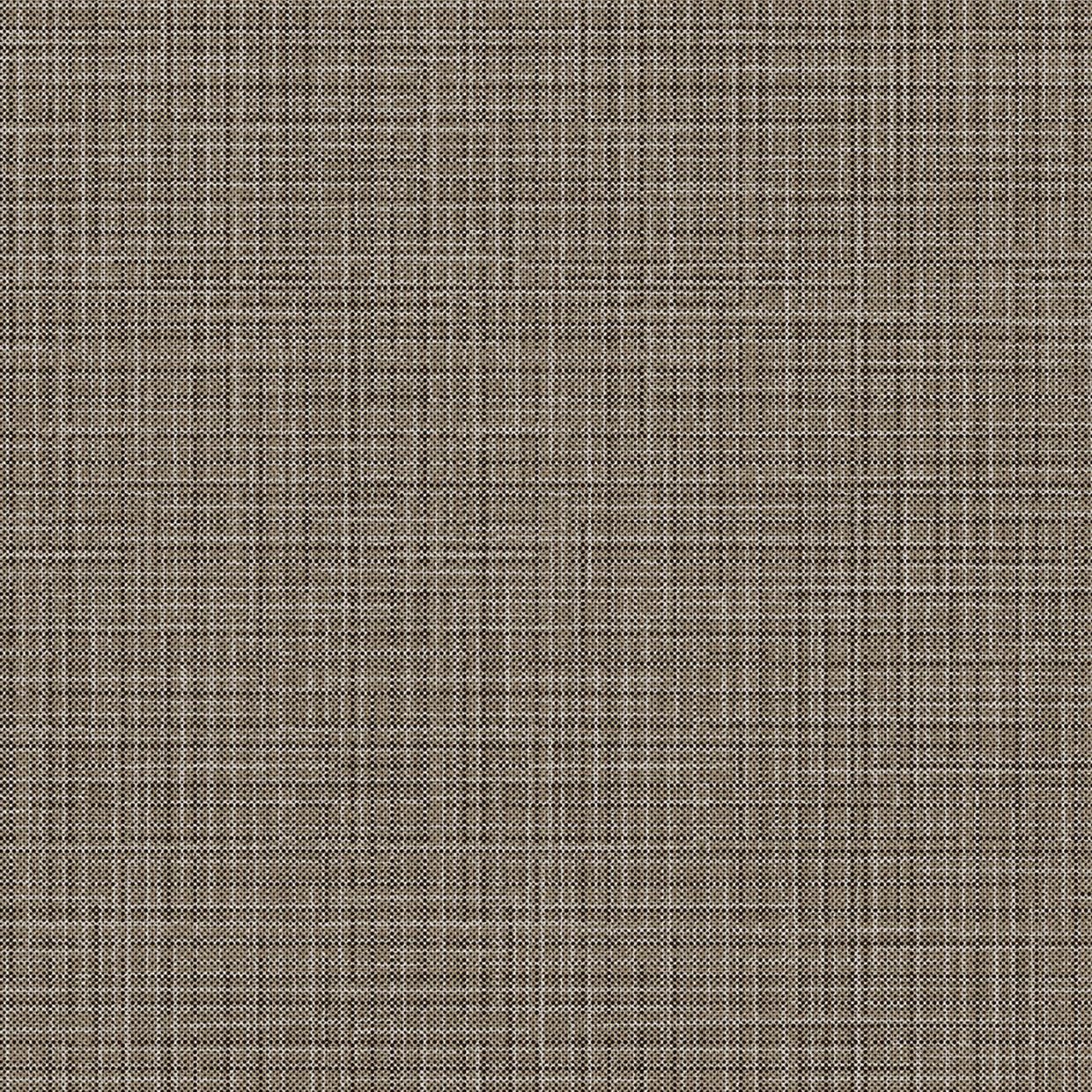 Silver & Brown Lined - NE37
