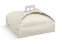 BOX CAKE GIFT  500x400x100MM IVORY