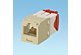 CAT5e Module Electric Ivory