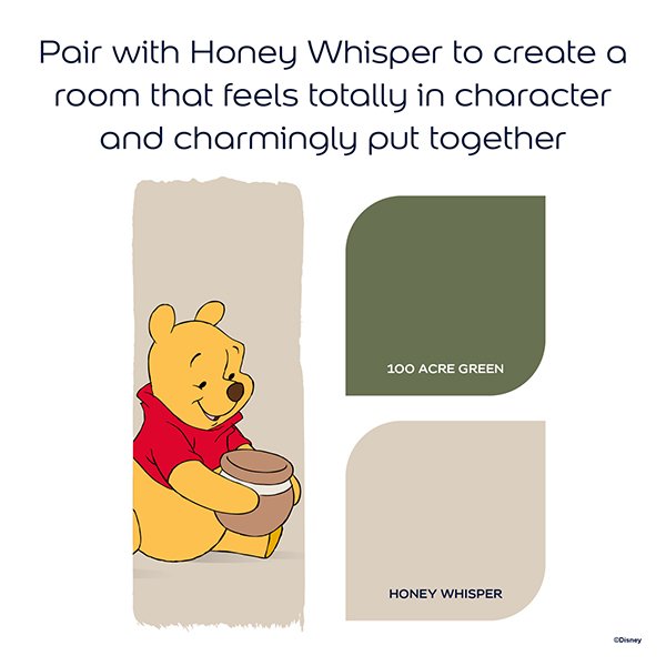 Dulux Easycare Disney Winnie the Pooh Colour Combination