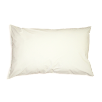 Fire Retardant Pillow, White