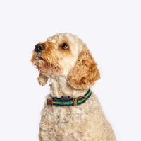 FatFace Bold Stripe Woven Collar