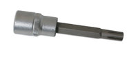 Ribe Profile Bit 1/2inch Drive Size M10
