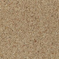 NATURAL BERBER ELITE CHAMOIS 5M