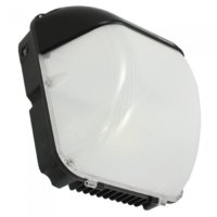 Skyline pro LED bulkhead 30w 2550 lumen