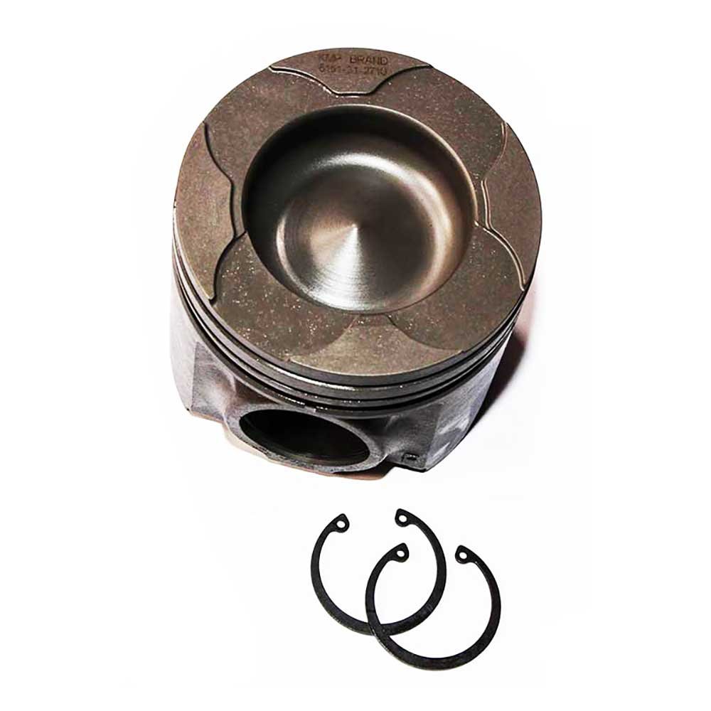 PISTON BODY C/W CLIPS