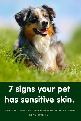 all about dog food arden grange