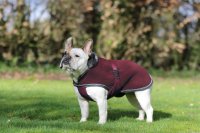 Show-Line Dog Rug 40cm Burg/Grey