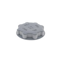 SALT CAP