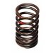 VALVE SPRING