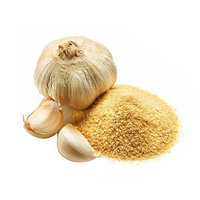 Garlic Powder (Sarimsak Tozu) -Nefis - 2kg