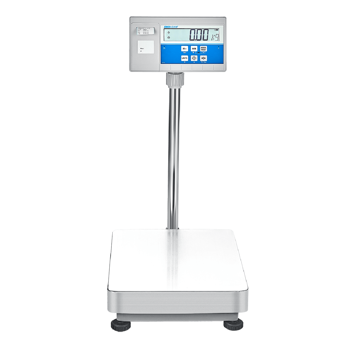 Label Printing Scale 60kg, 2g resolution, 300x400mm pan size, (certificate not included)