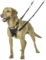 HALTI No Pull Harness Large x 1